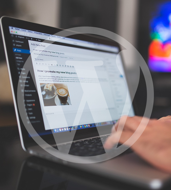 Wordpress Desarrollo web a medida en Sevilla