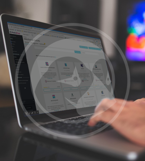 página web tienda online con prestashop